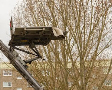Möbellift in Rotenburg: Möbellift zwischen kahlen Bäumen vor einem Gebäude