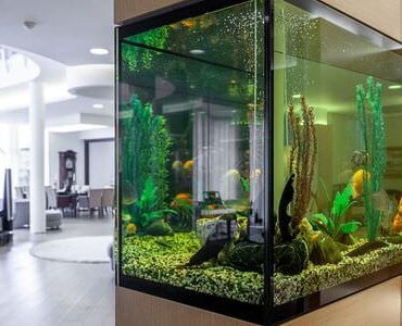 Aquarium-Umzug Rotenburg: Großes Aquarium in einem modernen Wohnzimmer