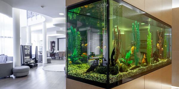 Großes Aquarium in einem modernen Wohnzimmer – Aquarium-Umzug
