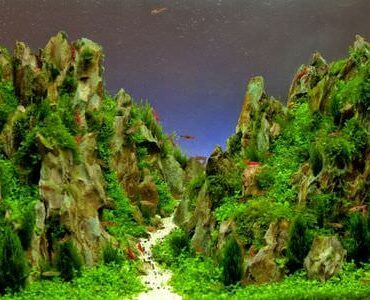Aquarium-Umzug Rotenburg: Aquarium mit Felslandschaft und Pflanzen