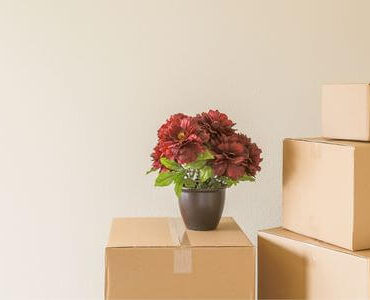 Umzugskarton und Blumenvase in einem leeren Raum